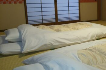 和室に敷かれた二組の布団。